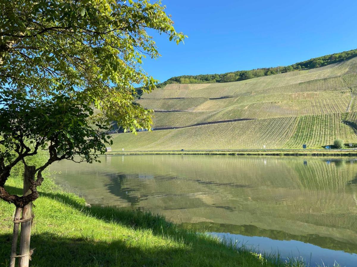 Apartamento Neu!!! Moselbleibe Winzerhaus Kues Bernkastel-Kues Exterior foto